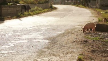 dağ köyünde sabah