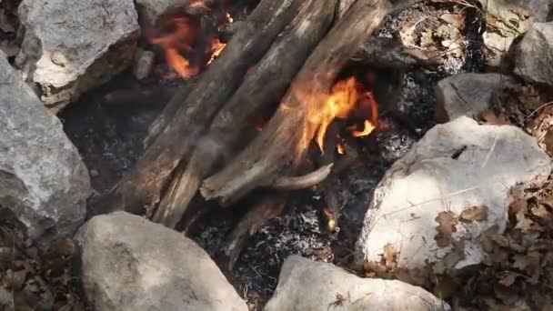 Brandend vuur — Stockvideo