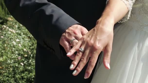 Manos recién casados con anillos — Vídeo de stock