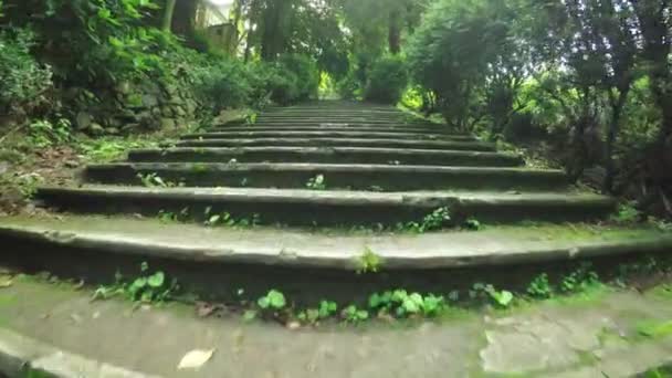 Stairs in park — Stock Video
