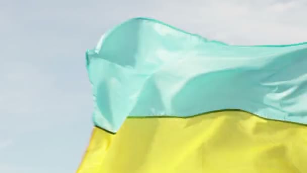 Ukrainska flagga — Stockvideo