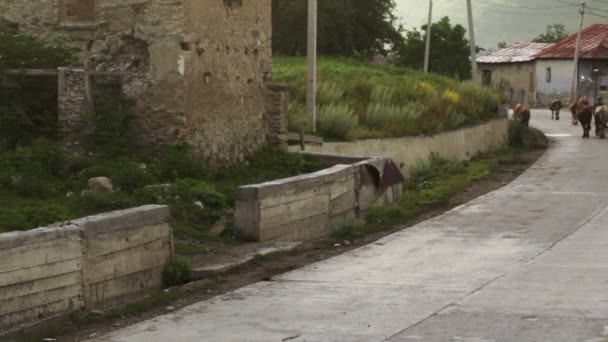 Mañana en pueblo de montaña — Vídeo de stock