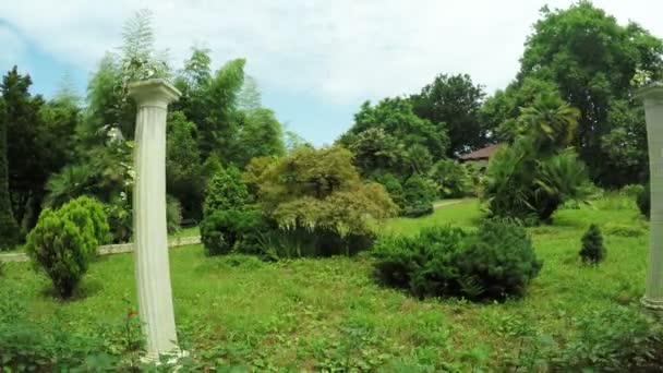 Columnas griegas en parque — Vídeo de stock