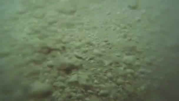 小石とサーフィン — ストック動画