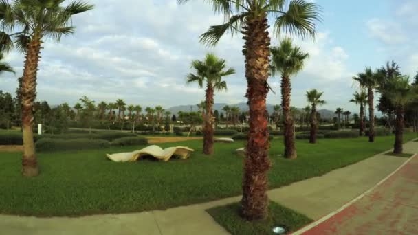 Palmen mit Wolken an der Seepromenade — Stockvideo