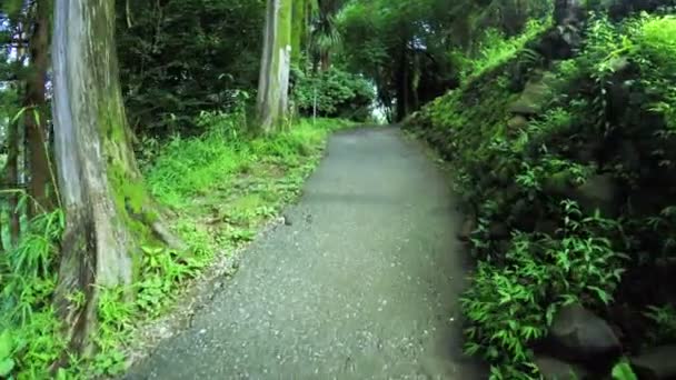 Pathway in park — Stock Video