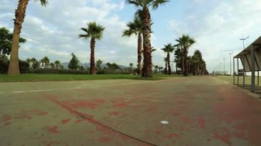 Palmiye ağaçları ile bulutlar deniz promenade üzerinde