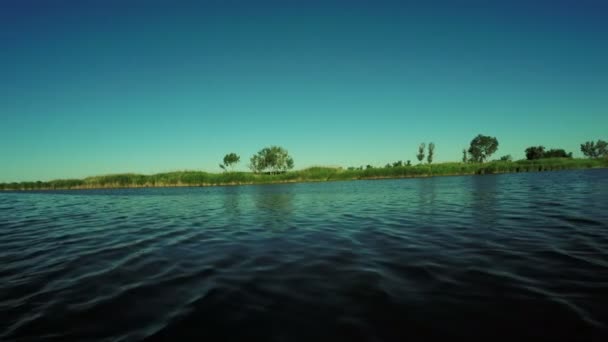 Катамаран річка — стокове відео