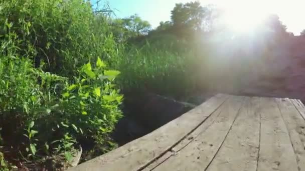 Puente de madera sobre arroyo — Vídeos de Stock