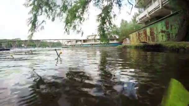 Водні лілії біля річкового причалу — стокове відео