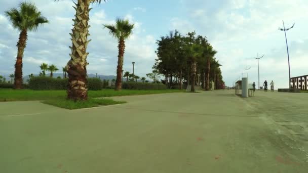 Palmeras con nubes en el mar — Vídeo de stock