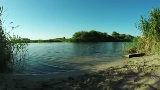 Nehir kıyısı — Stok video