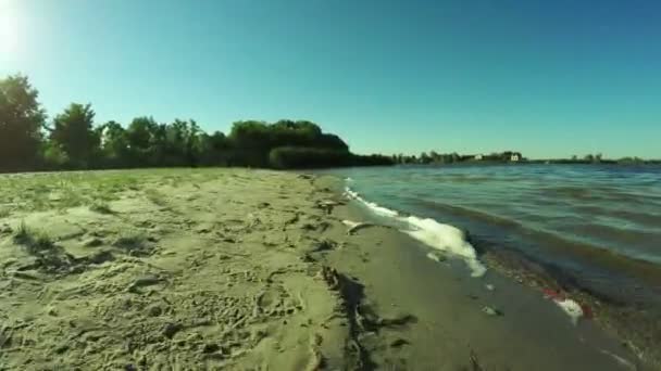 Floden stranden — Stockvideo