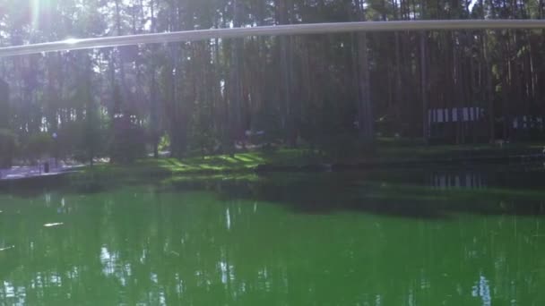 Railing perto da lagoa — Vídeo de Stock