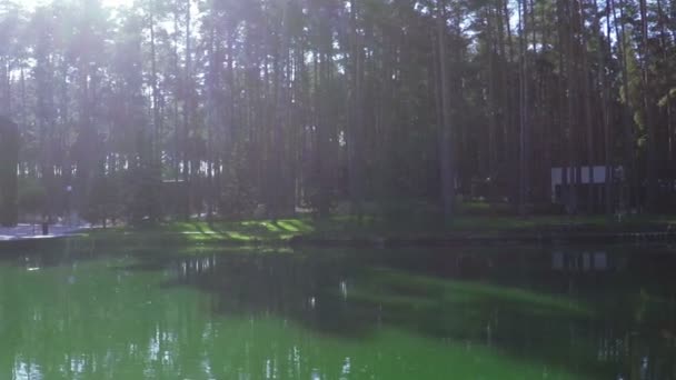 Pond in recreation area — Stock Video
