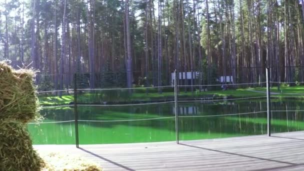 栏杆附近池塘 — 图库视频影像