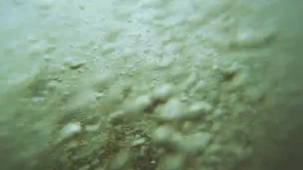 Galets et surf 