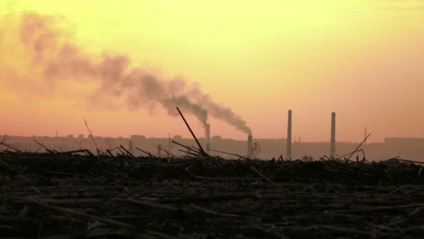 Roken van leidingen bij zonsondergang — Stockvideo