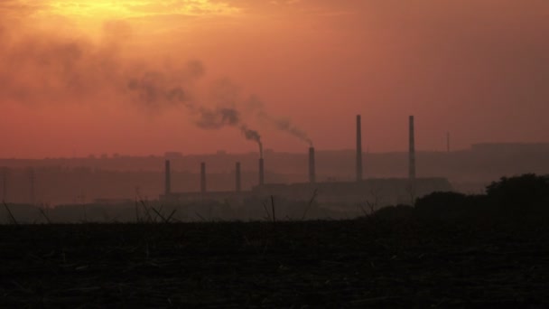 Humo de pipas al atardecer — Vídeo de stock