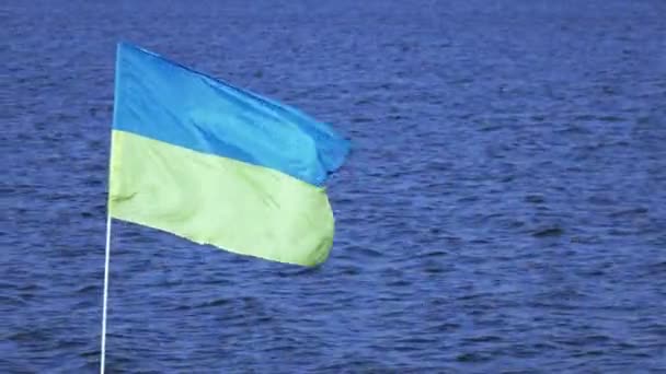 Ukrainische Flagge — Stockvideo