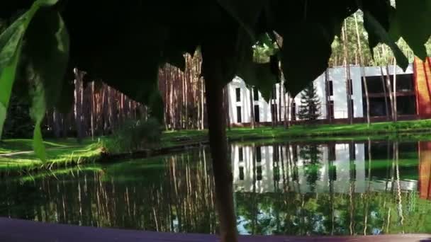 池塘里休闲区 — 图库视频影像