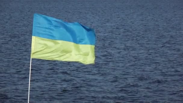 Ukrainska flagga — Stockvideo