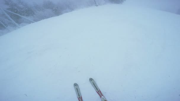 Pistes de ski éducatives — Video