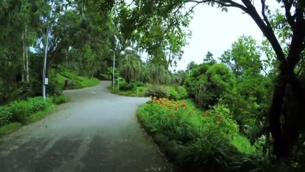 Caminho no parque — Vídeo de Stock