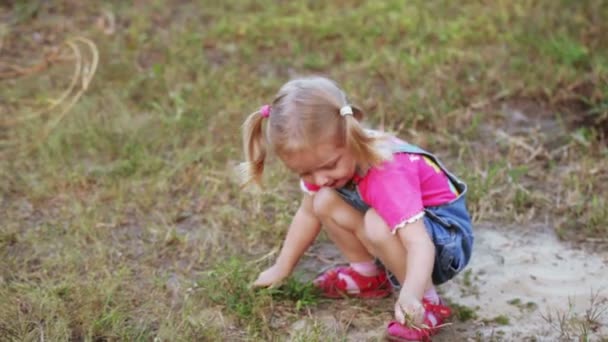 Little girl in sandbox — Stock Video