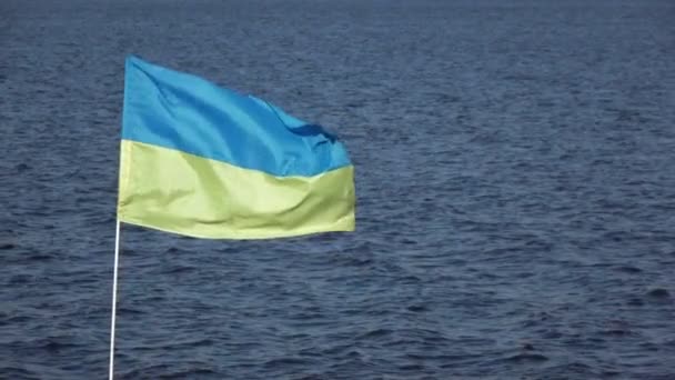 Oekraïense vlag op aard — Stockvideo