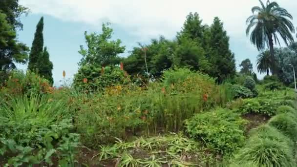 Květinové záhony v Botanické zahradě — Stock video