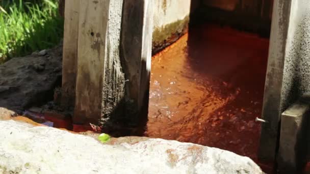 Джерело мінеральної води — стокове відео