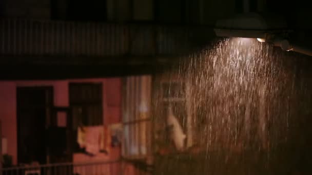 밤에 도시에 비가 — 비디오
