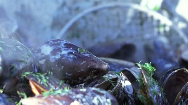 Cocinar mejillones alimentos — Vídeo de stock