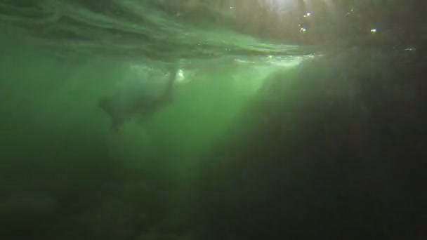 Mädchen unter Wasser des Meeres — Stockvideo