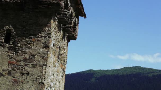 Svan tower tidsinställd — Stockvideo