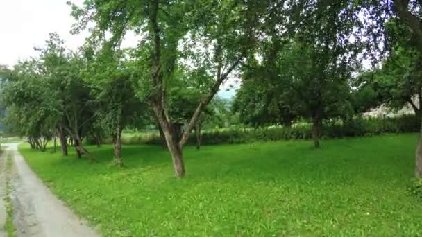 Gyümölcs ültetvény falu — Stock videók
