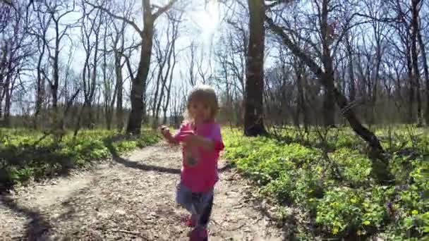 Passeggiata nella foresta ragazze — Video Stock