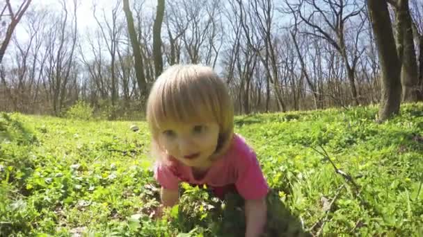 Wandelen in het bos meisjes — Stockvideo