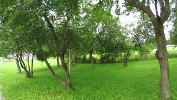 Fruit orchard Village — Stock Video