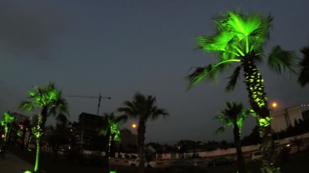 Λεωφόρο νύχτα σε Batumi — Αρχείο Βίντεο