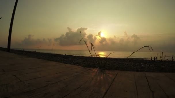 Batumi Boulevard noche — Vídeos de Stock