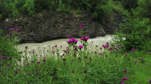 Sur la rive Thistle — Video