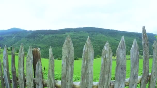 Cerca em montanhas — Vídeo de Stock