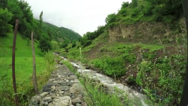 Гірський струмок в Грузії — стокове відео