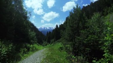 Alpine meadows yolundaki