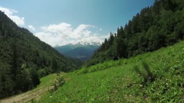 Alpine meadows yolundaki