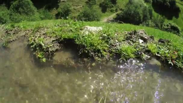 Arroyo de montaña en Georgia — Vídeo de stock