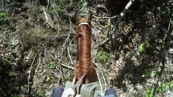 Astride a caballo — Vídeo de stock