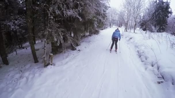 Pistes de ski éducatives — Video